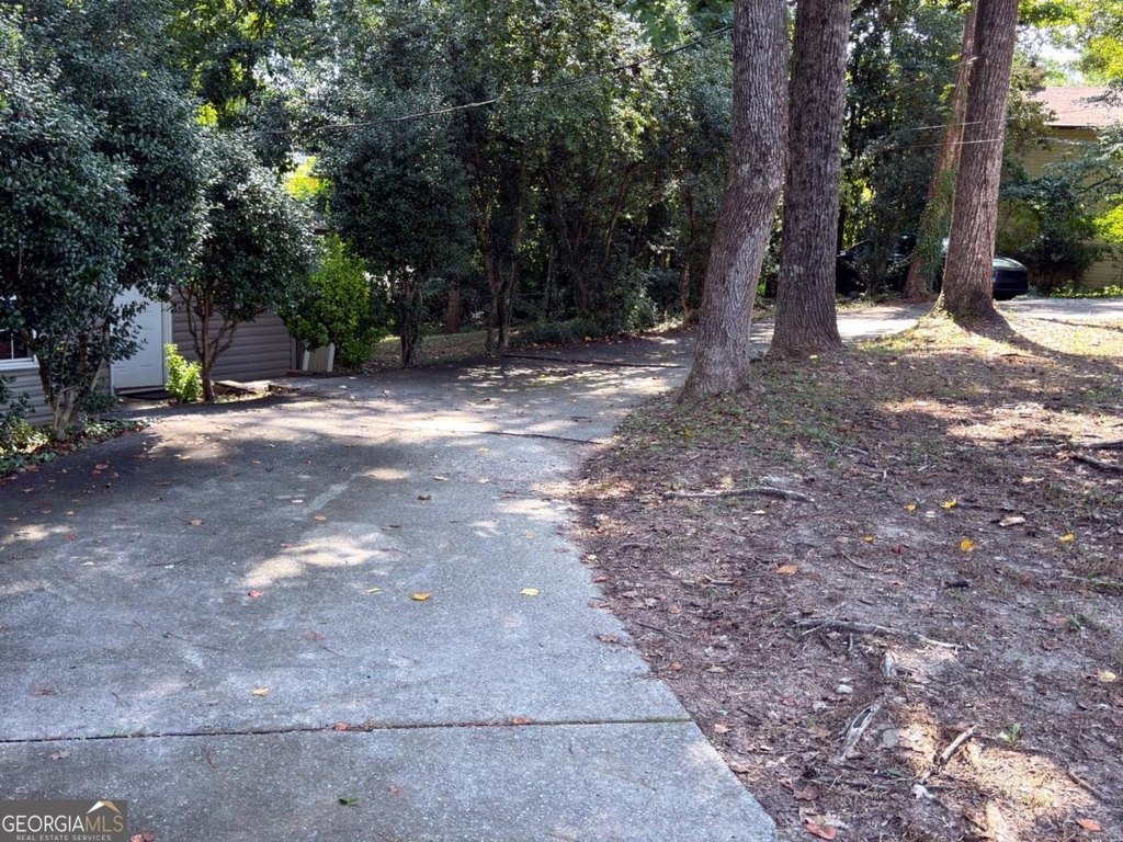 Picture 11