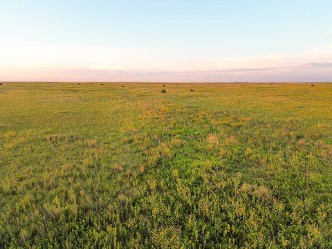 Native Grass Hunting and Grazing Land