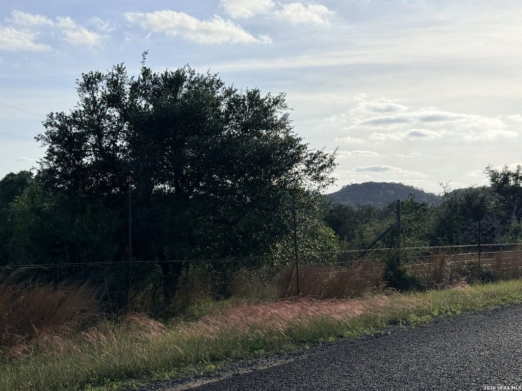 Picture 17