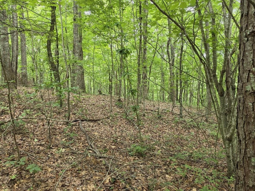 Picture 10