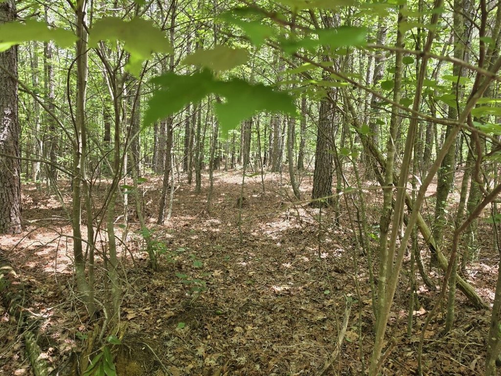 Picture 16