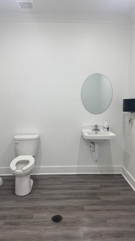 Picture 8
