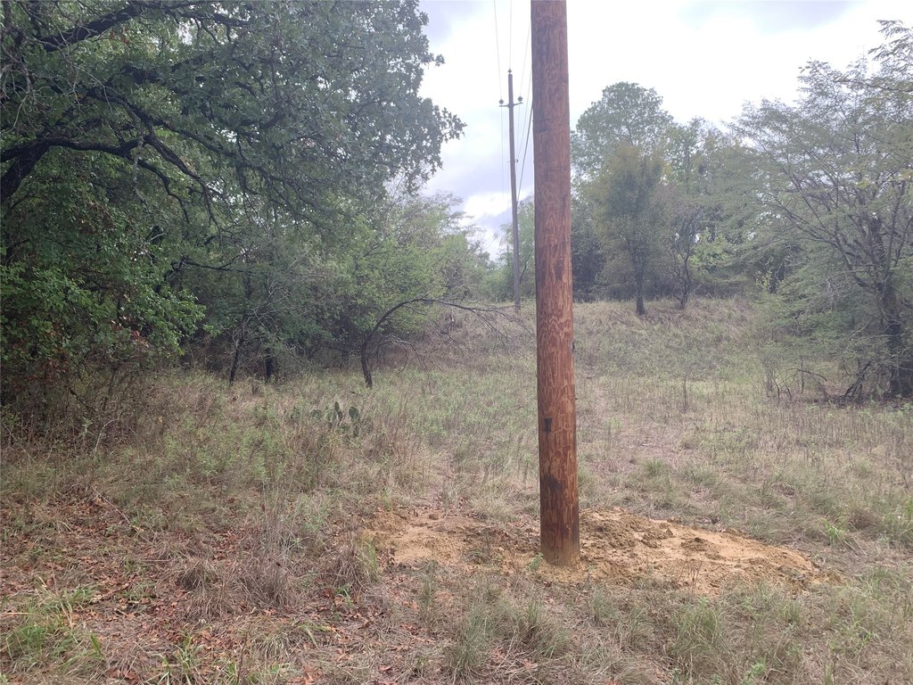Picture 10