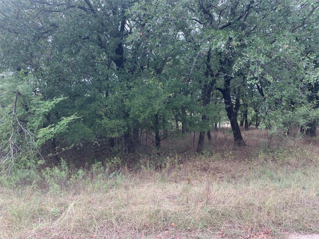 Picture 11