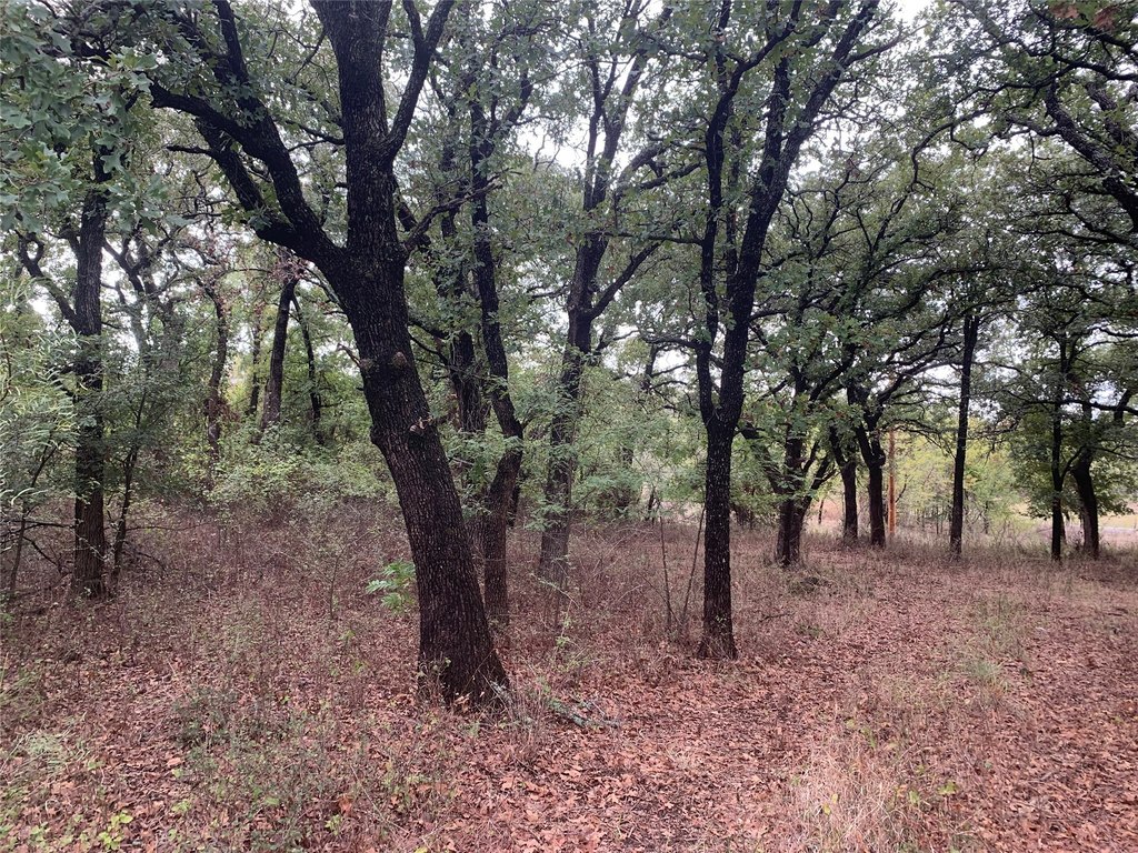 Picture 7