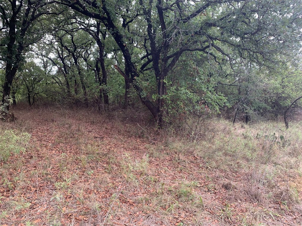 Picture 8