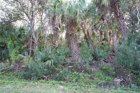 Residential Land in Port Charlotte