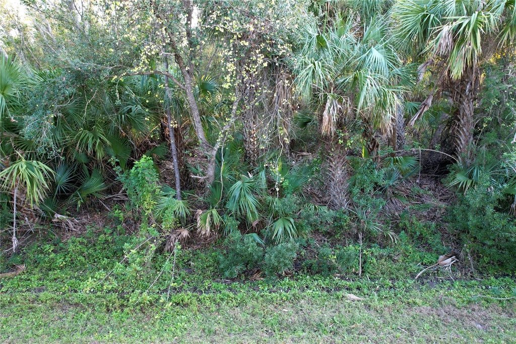 Picture 4