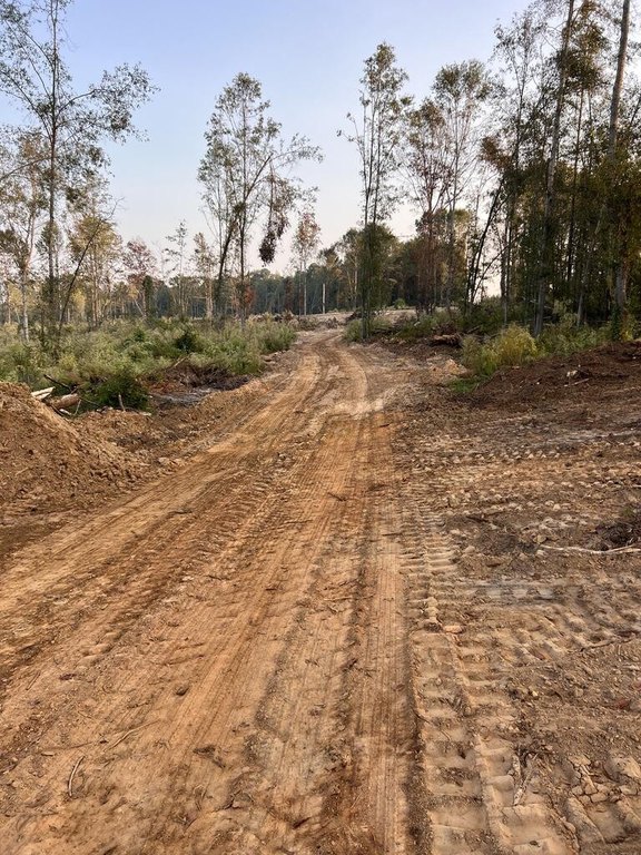Picture 3