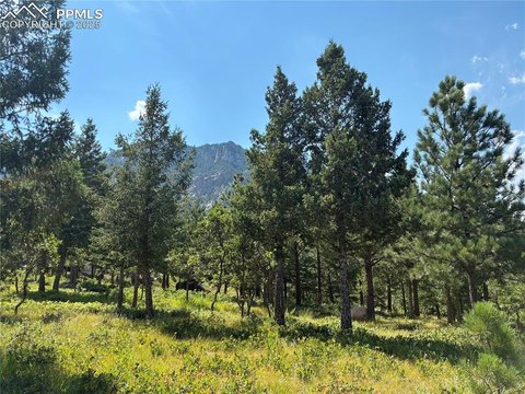 Broadmoor Resort Land with Views