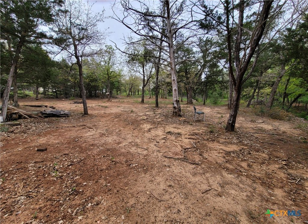 Picture 6