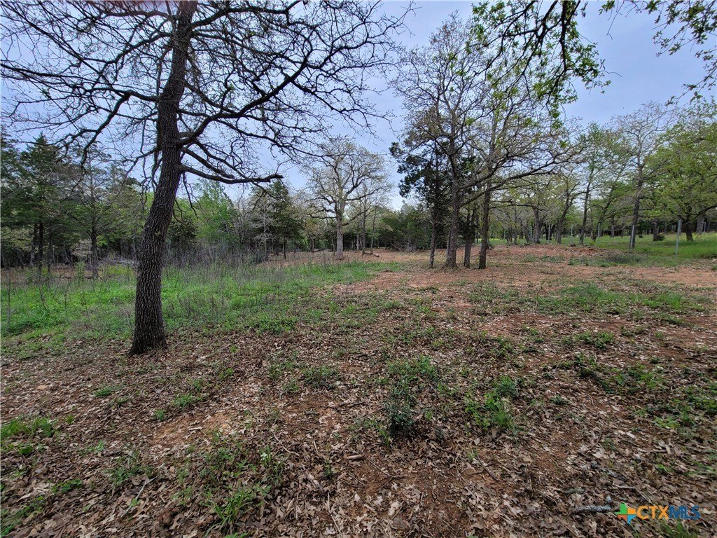 Picture 15