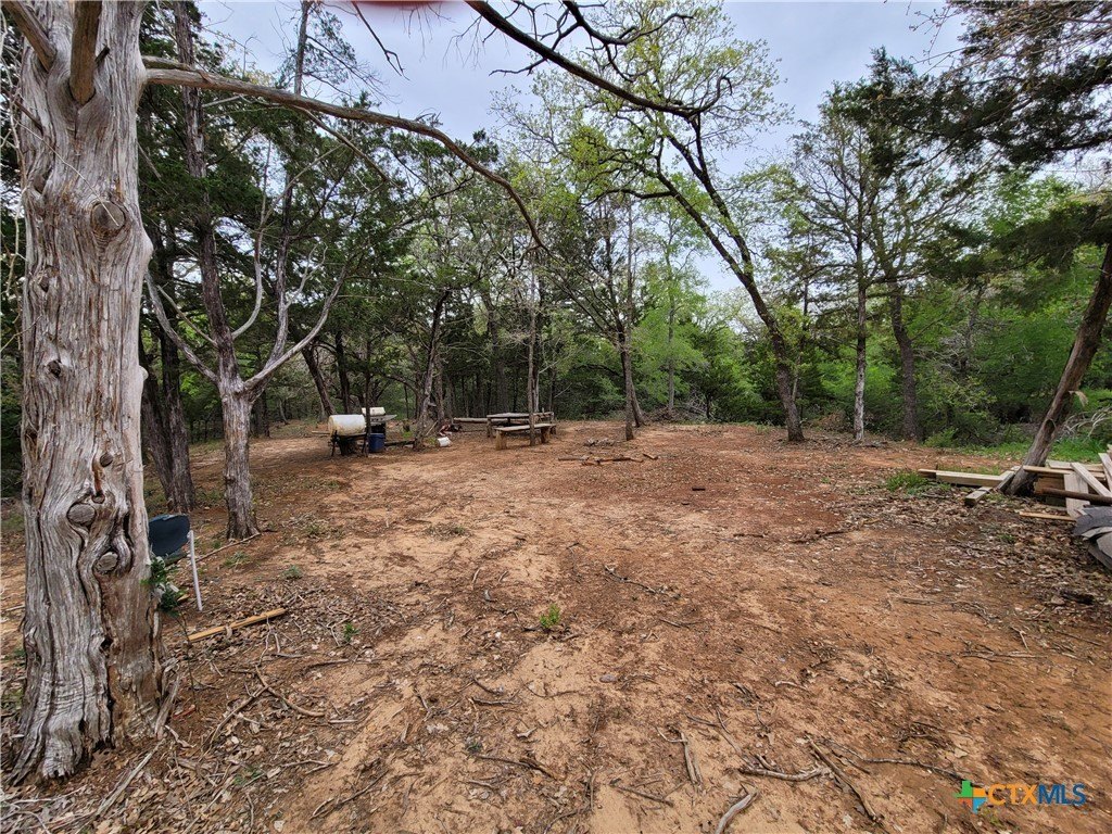 Picture 11