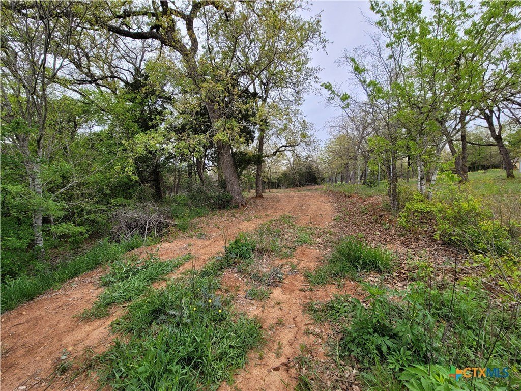 Picture 20