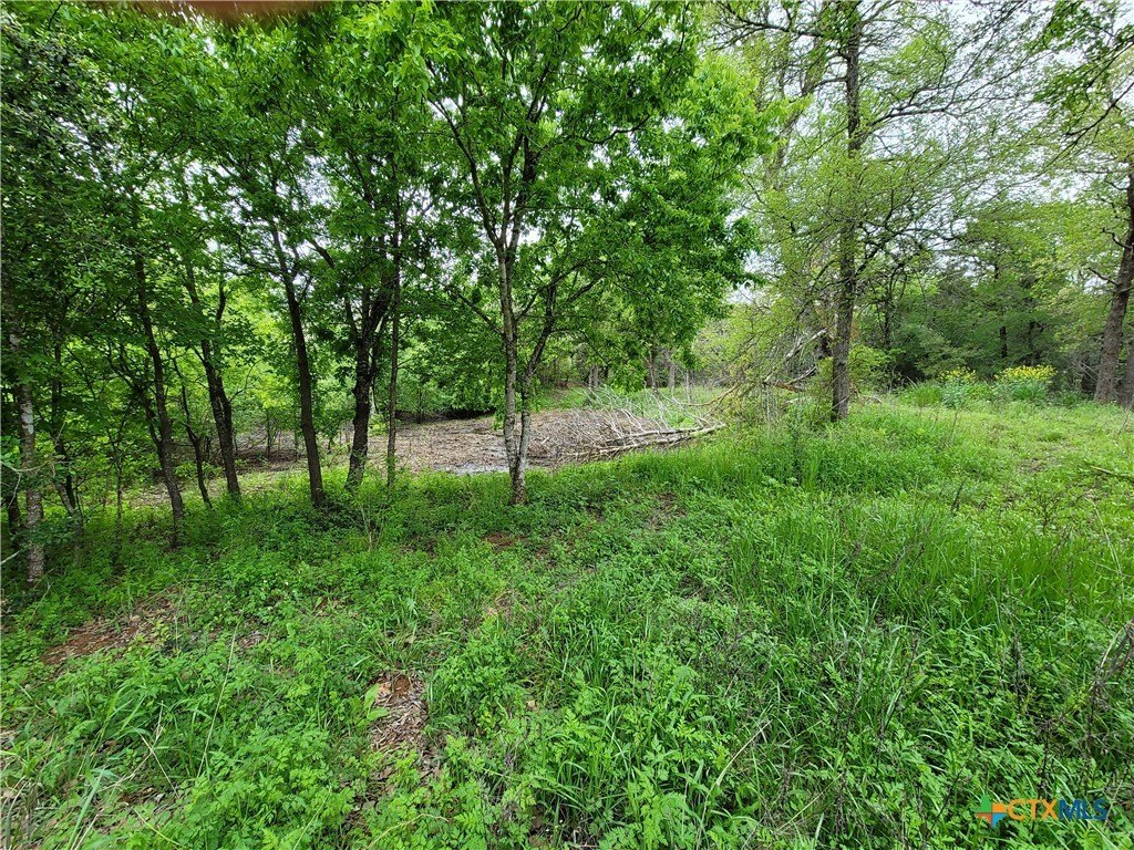 Picture 17