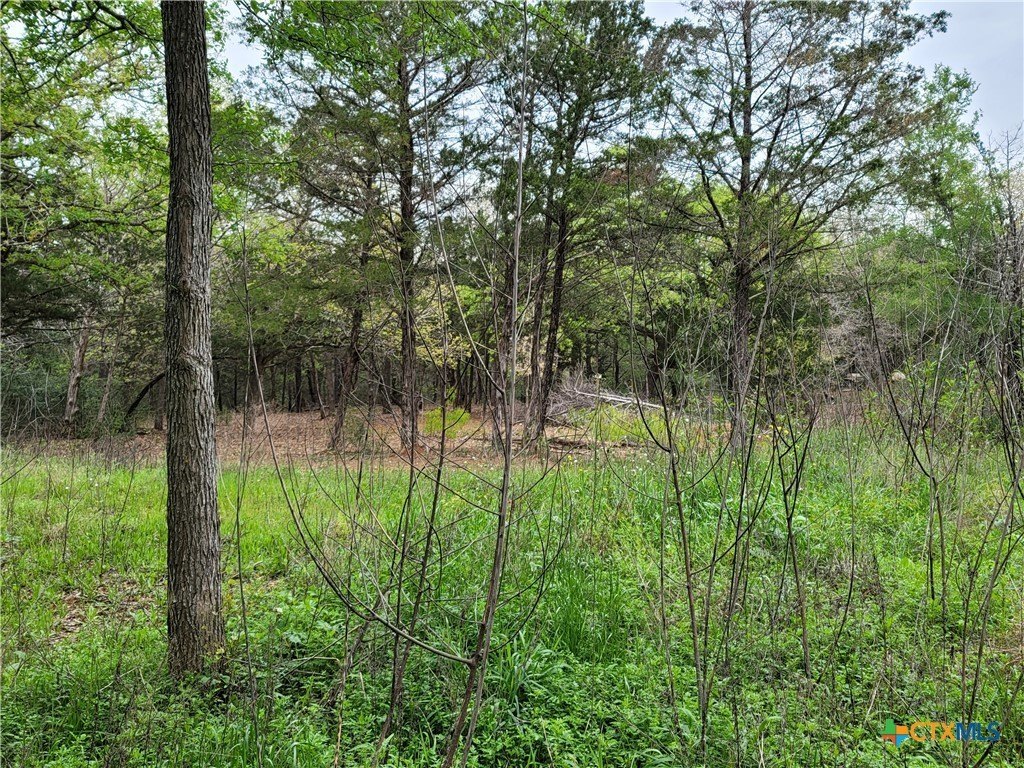 Picture 19