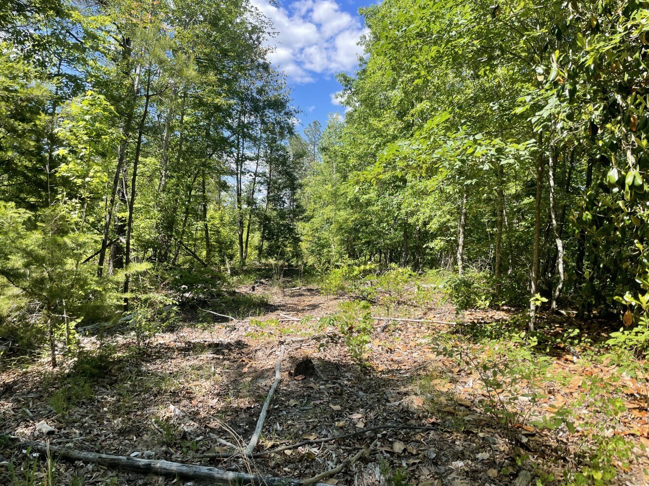 70 Acres Hunting and Recreation