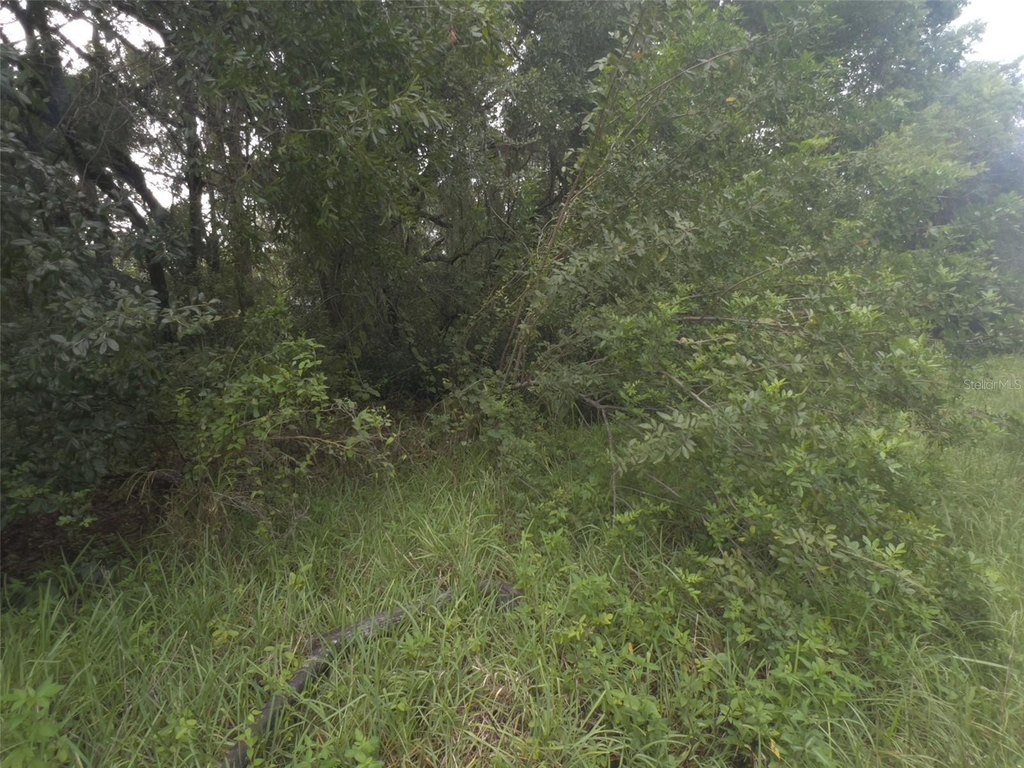 Picture 16