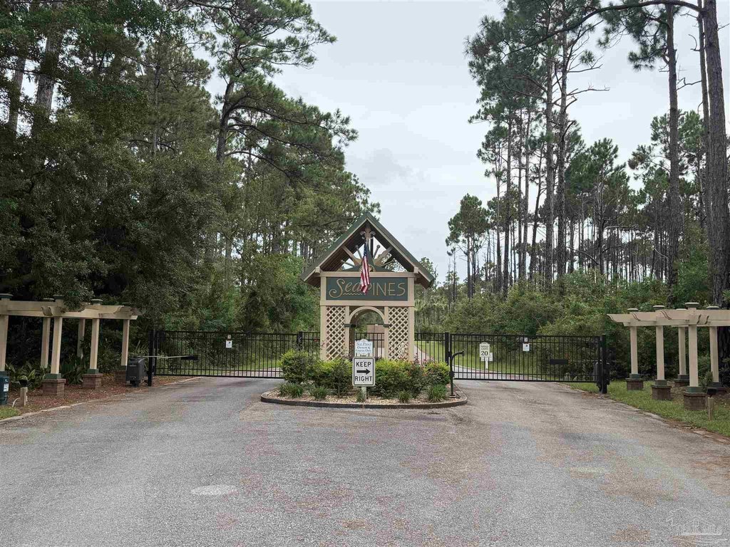 Picture 3