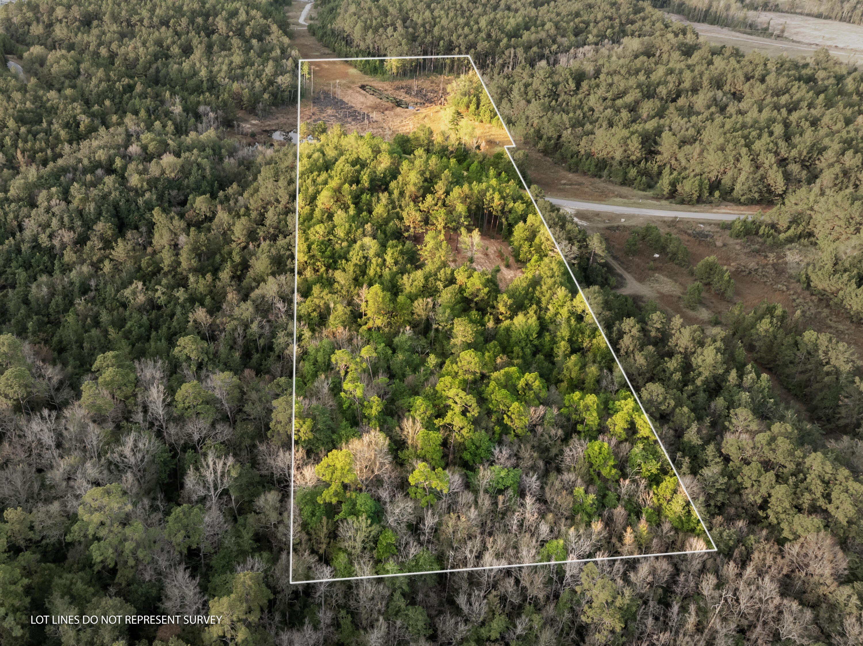 Lucedale Land for Outdoor Getaway