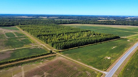 Income-Producing Hunting and Recreation Tract