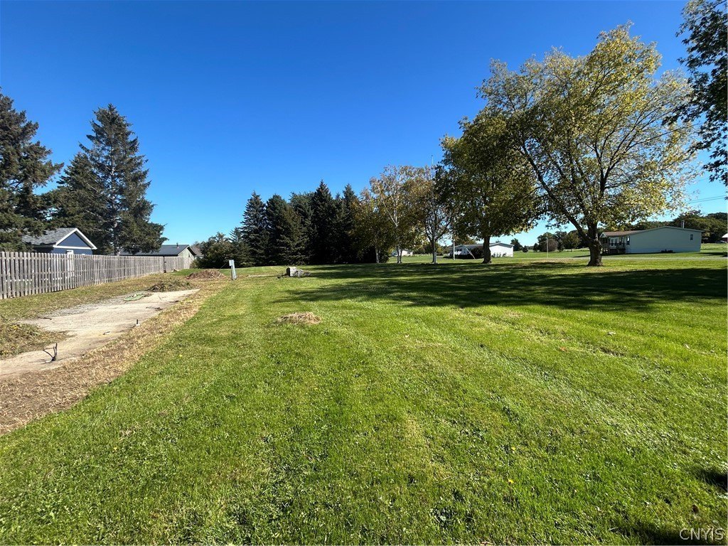 Picture 6