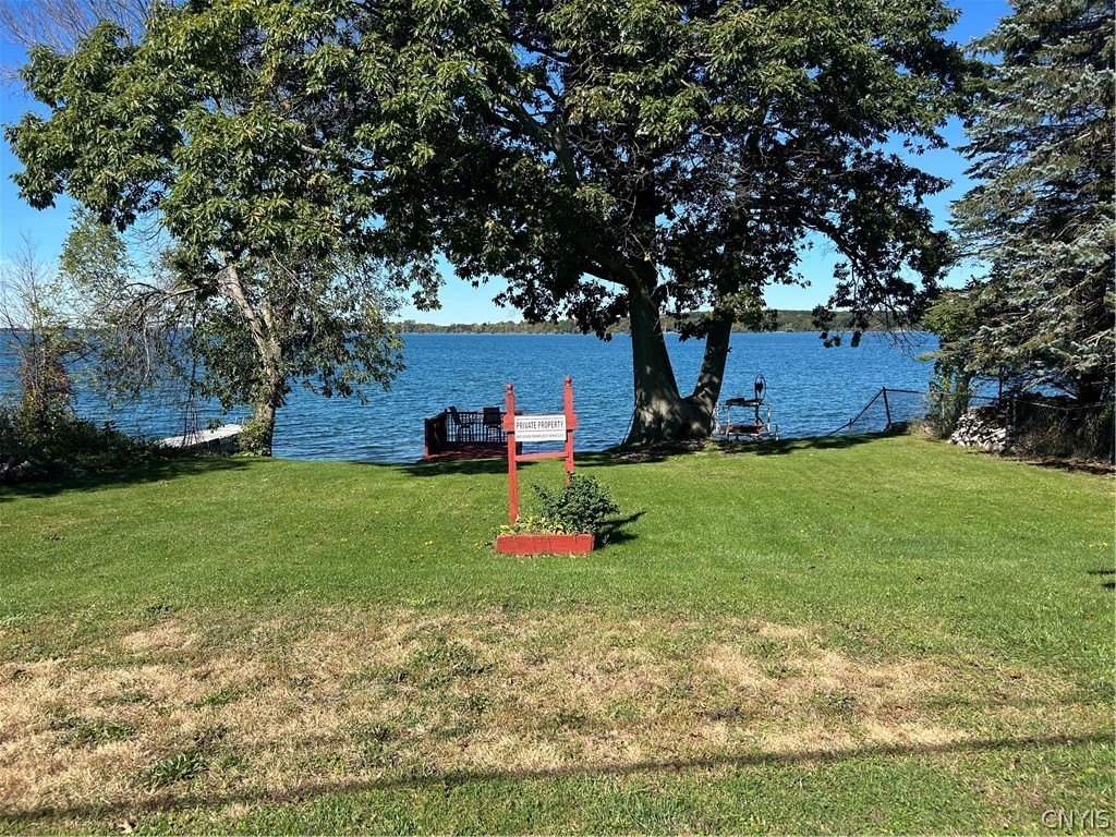 Picture 15