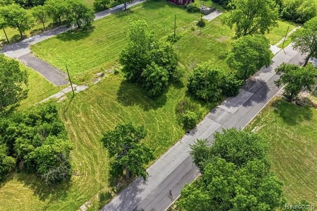 Picture 29