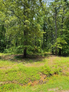 LAND - Heber Springs, AR