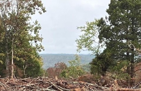 Wooded Acreage Near National Forest