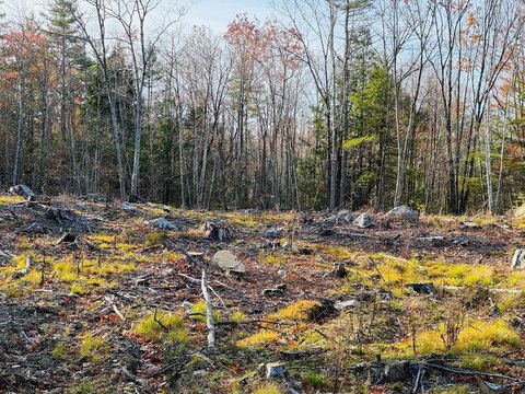 LAND - Barrington, NH