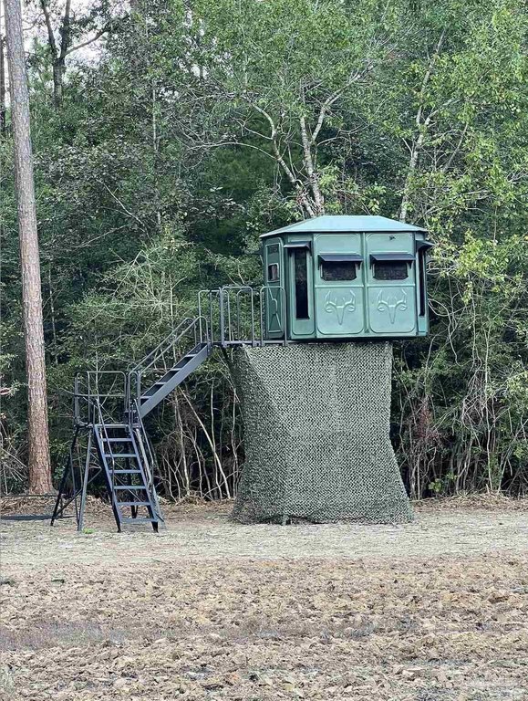 Picture 21
