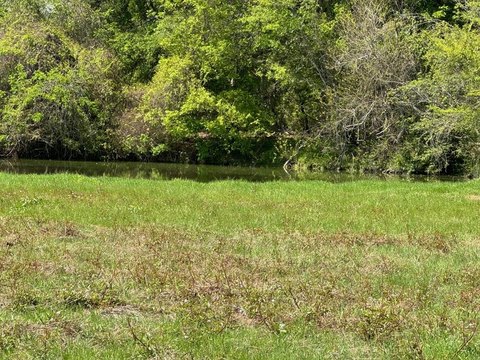 Residential Land in Lovelady, TX
