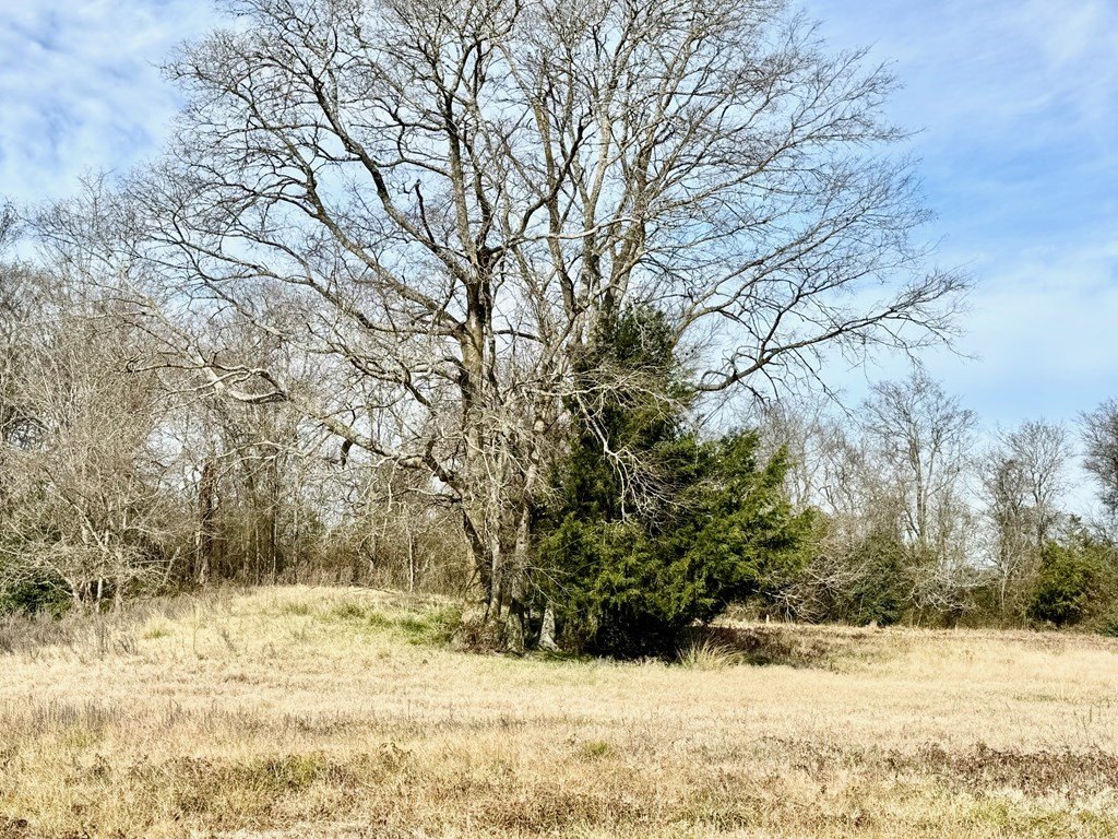 Picture 8