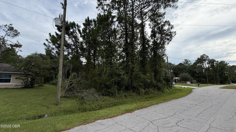 LAND - Palm Coast, FL