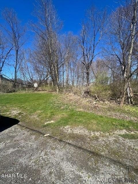 Picture 12
