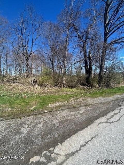 Picture 5