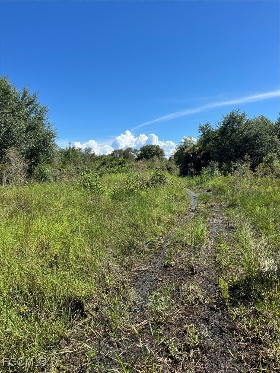 Five Acres Ready to Build