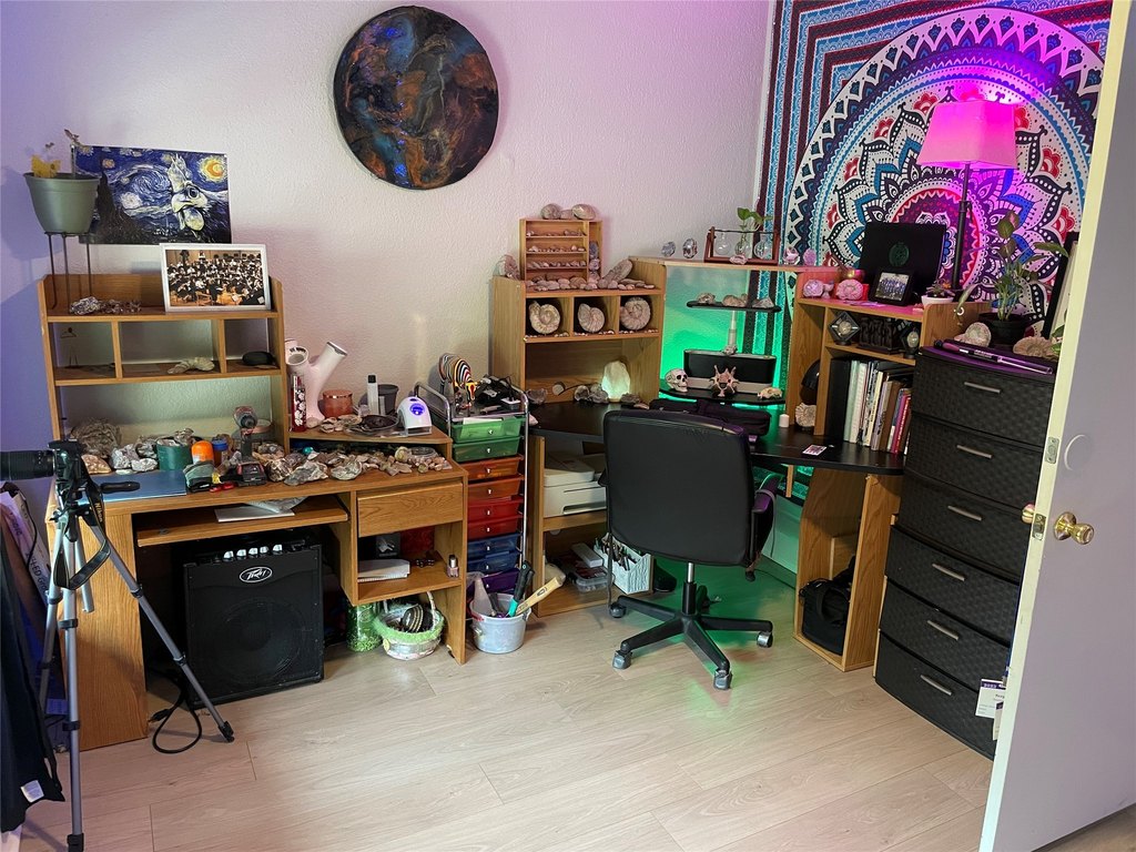 Picture 6