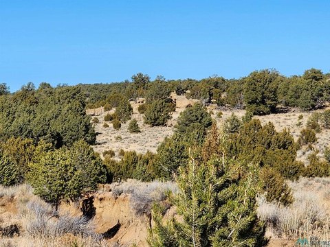 Land, Pie Town, NM
