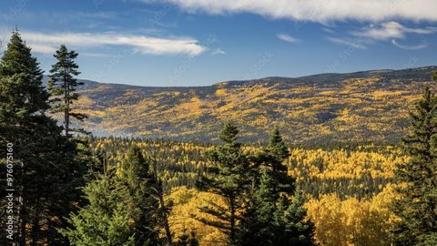 Angel Fire Ranch Legacy Opportunity