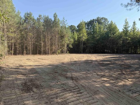 LOTS AND ACREAGE, Hartsville, SC