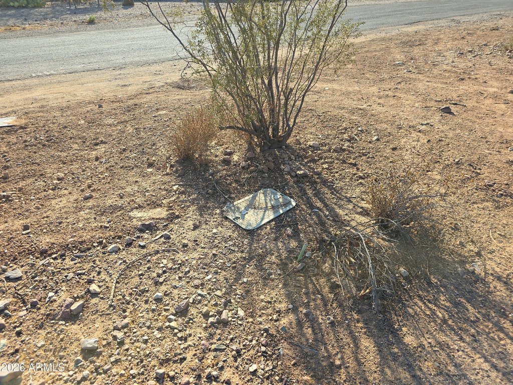 Picture 10