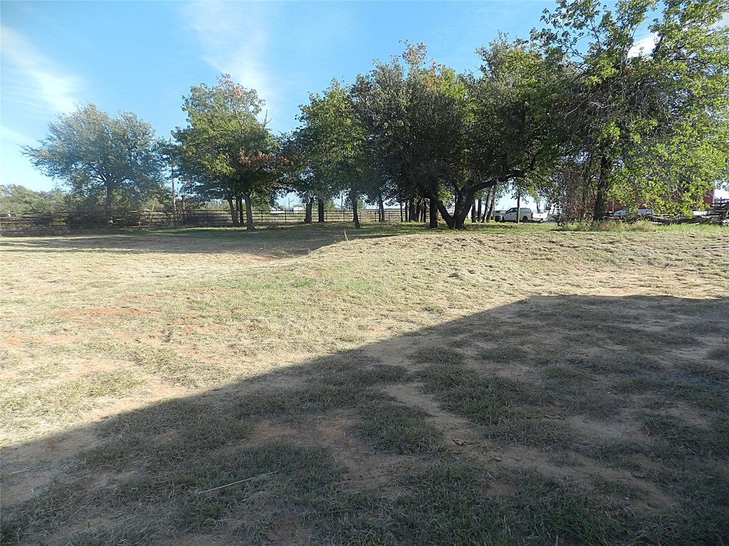 Picture 15