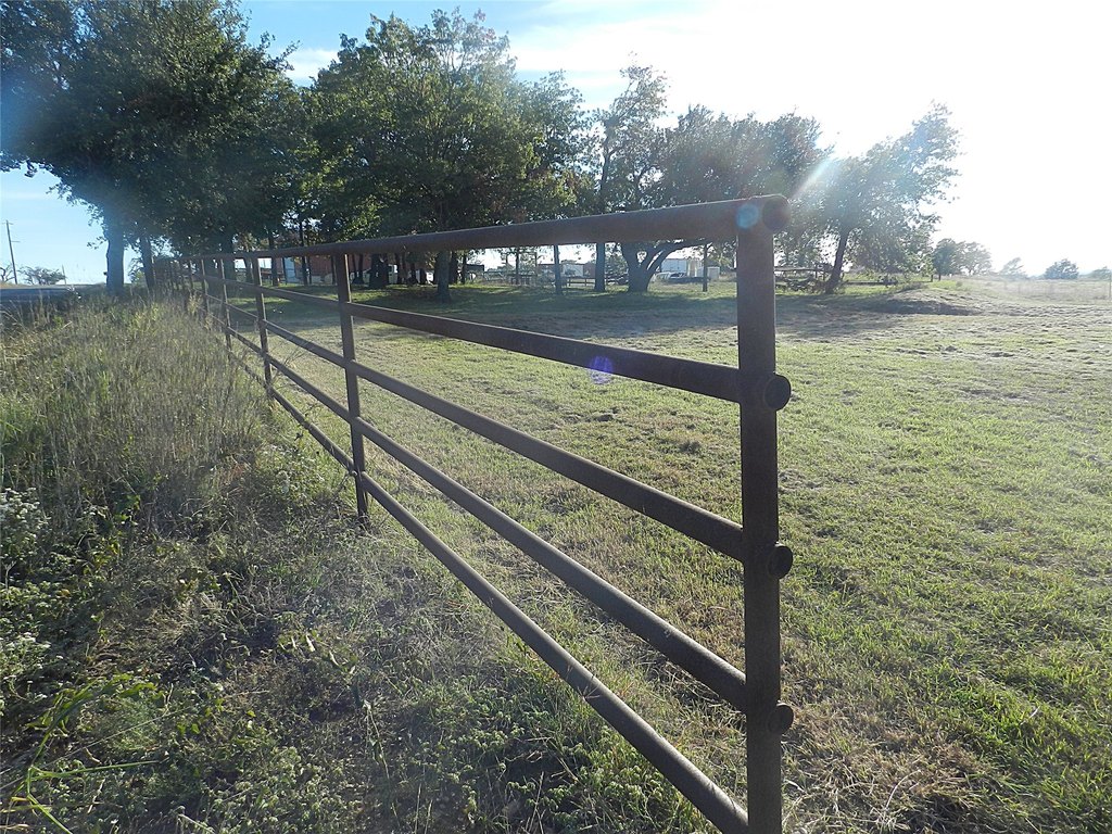 Picture 10