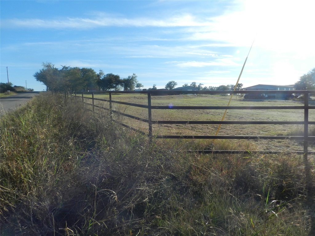 Picture 5