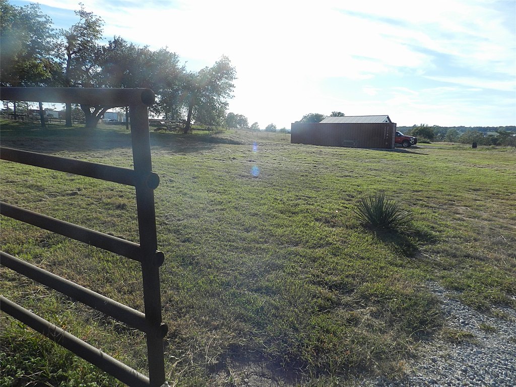 Picture 11