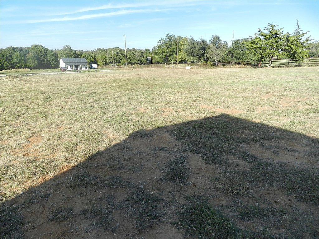 Picture 16