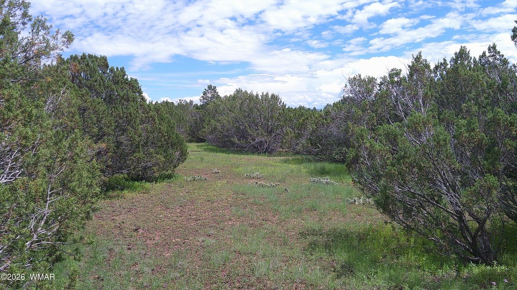 Picture 23