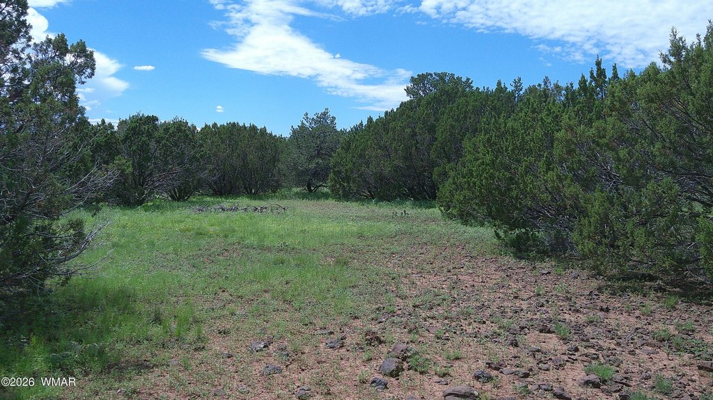 Picture 19